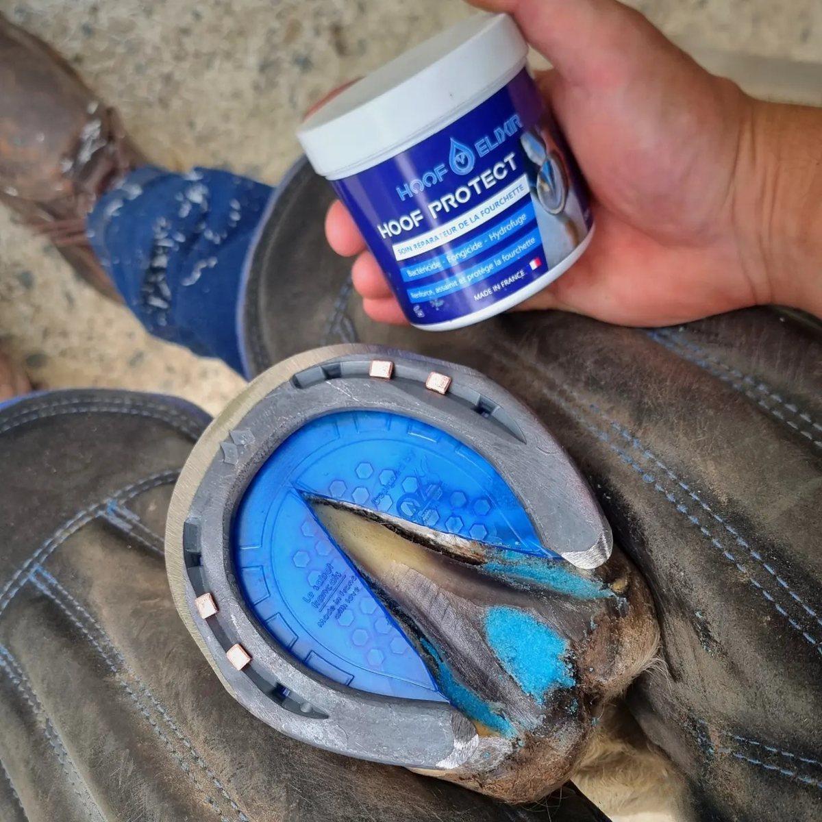 Application d'un soin Hoof Elixir sur un pied